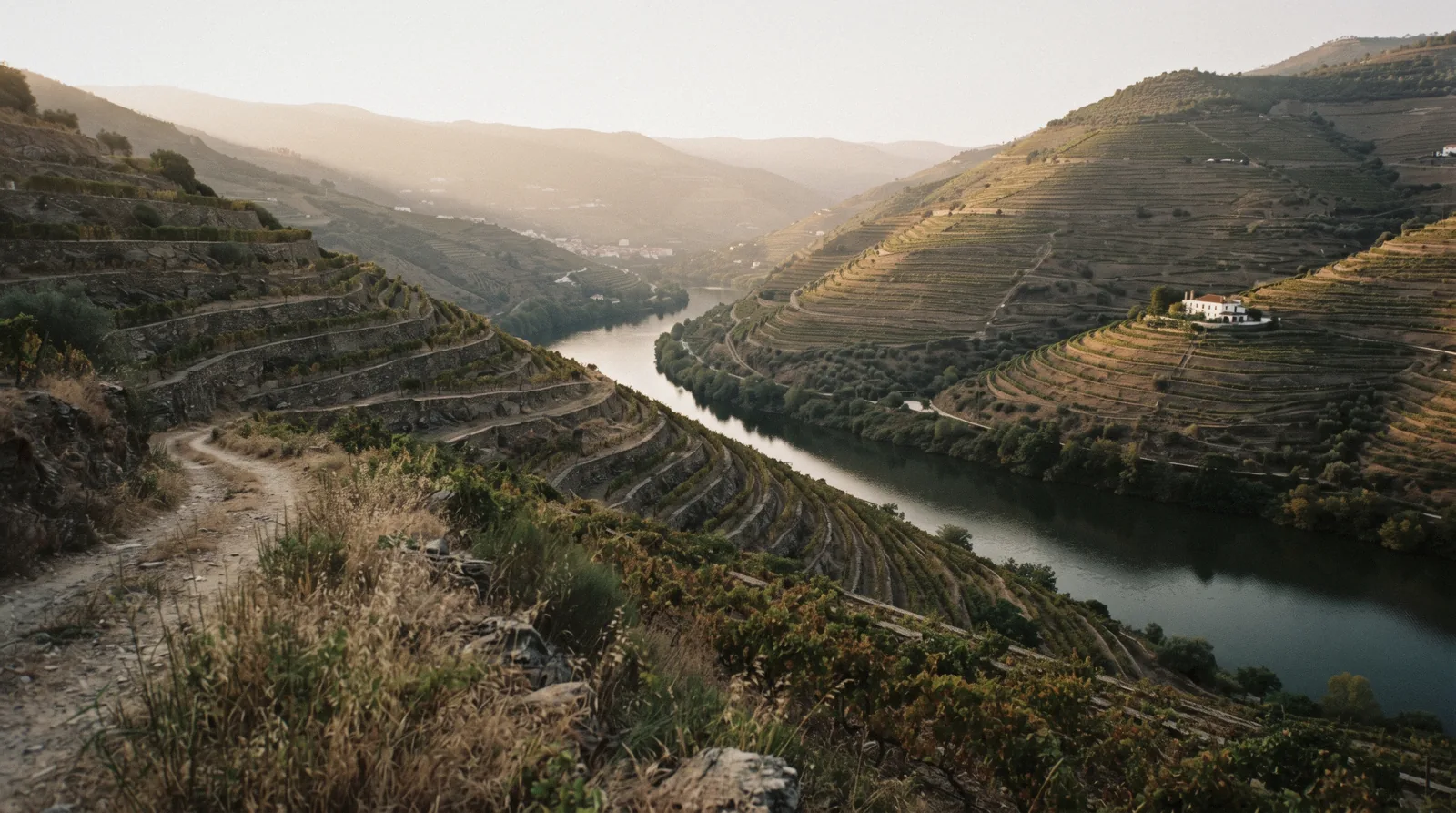Terraced vineyards stepping down to the river in the Alto Douro wine region, the day trip every visit to Porto, Portugal argues about