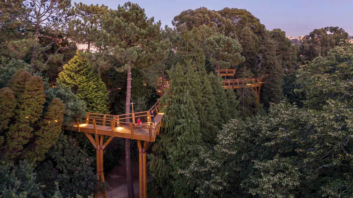 The treetop walkway threading through the woods of Serralves Park in Porto