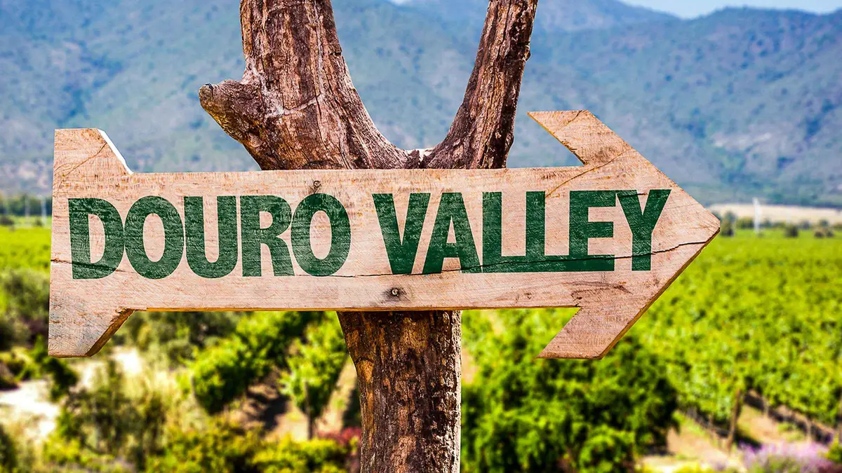 A wooden Douro Valley signpost in front of terraced vineyards