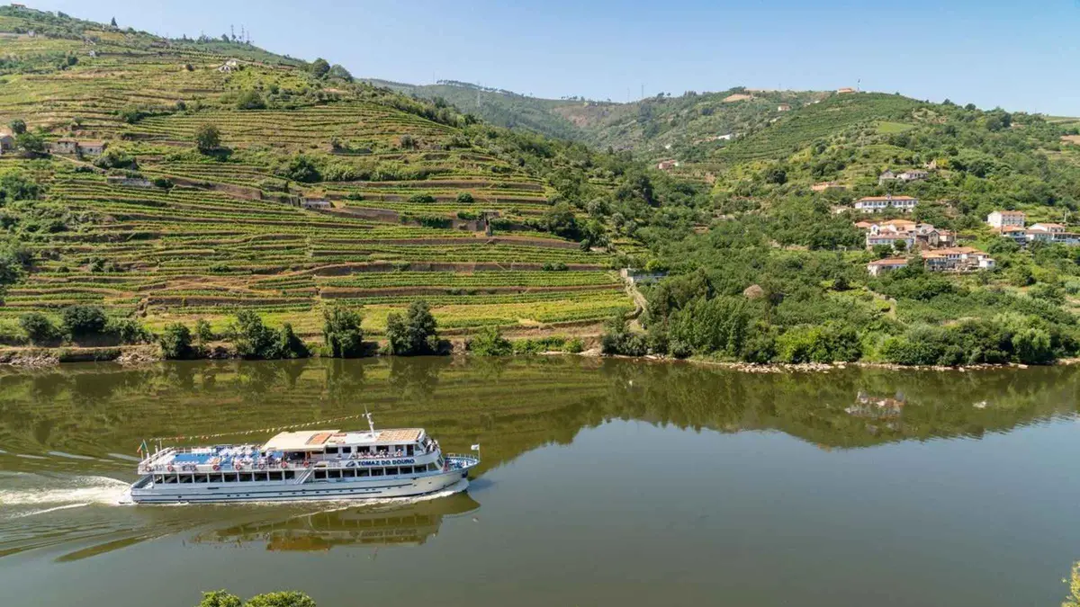 A cruise boat on the Douro river below terraced hillsides near Régua