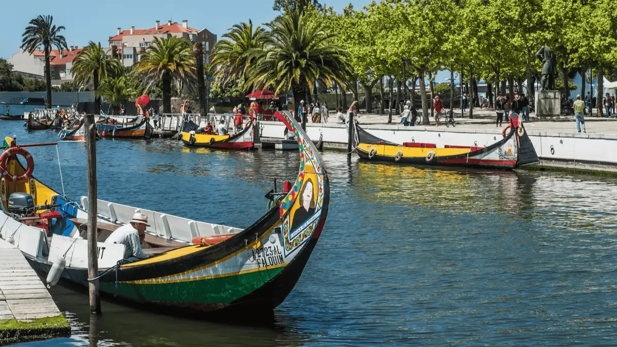 Painted moliceiro boats moored on the central canal in Aveiro